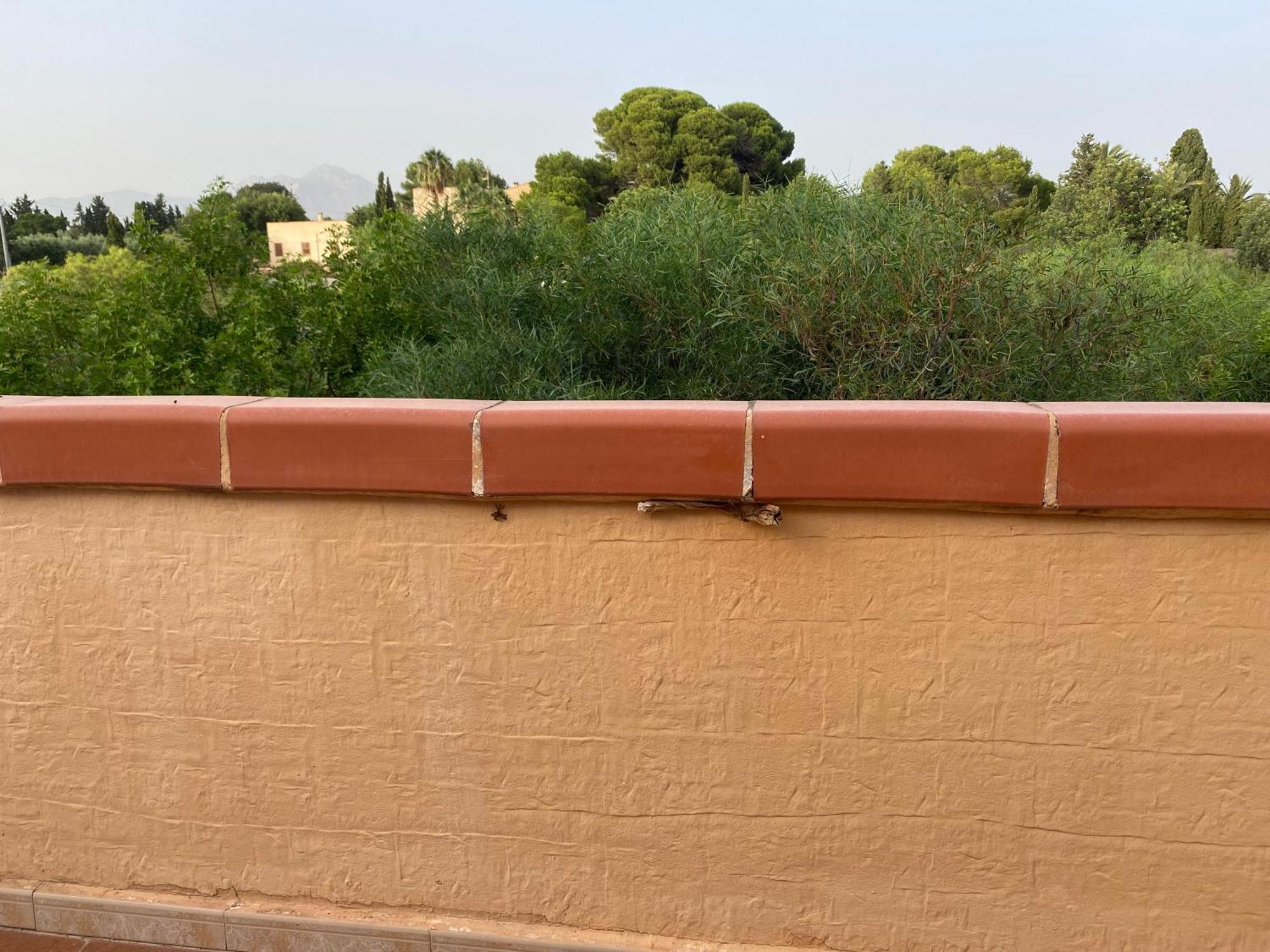 Casa En La Huerta De Mutxamel Villa Esterno foto