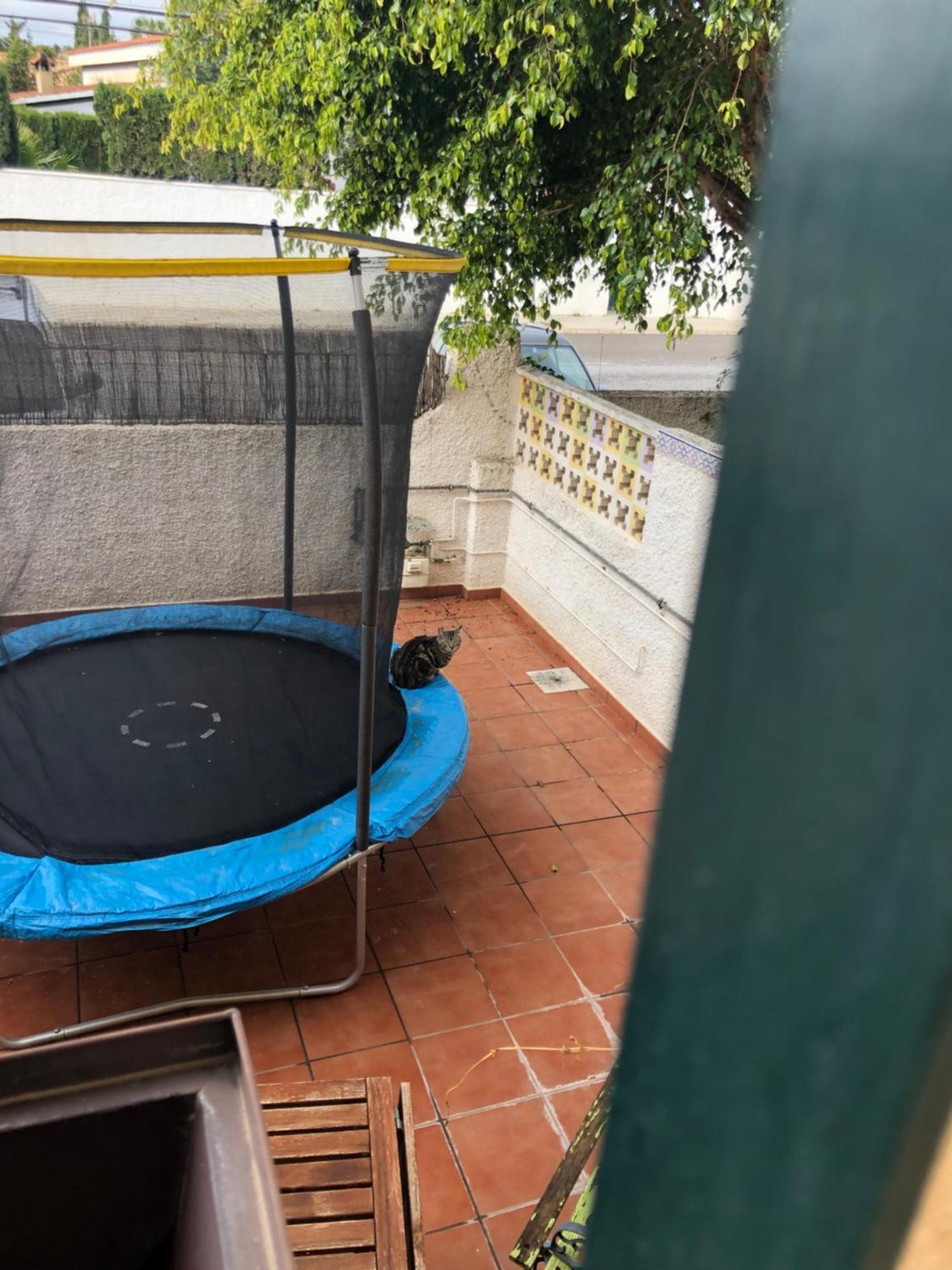 Casa En La Huerta De Mutxamel Villa Esterno foto